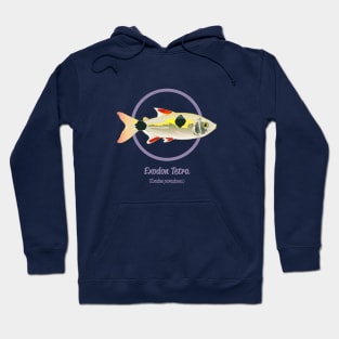 Exodon Tetra Hoodie